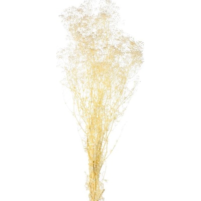 Gypsophila - bielená sušená million /zv