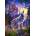 Castorland - Puzzle Wolf Castle - 1 000 piese