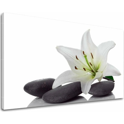 Papilora Obraz bielej ľalie na plátne – Feng Shui - 30x40 cm