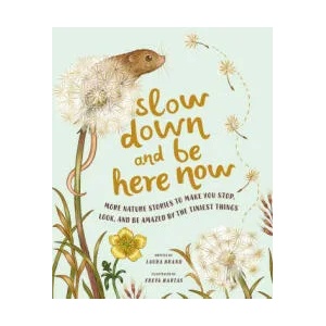 Slow Down and Be Here Now: More Nature Stories to Make You Stop, Look, and Be Amazed by the Tiniest Things (ISBN: 9781419765971)