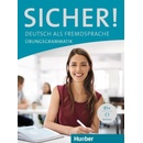 Sicher!: Übungsgrammatik