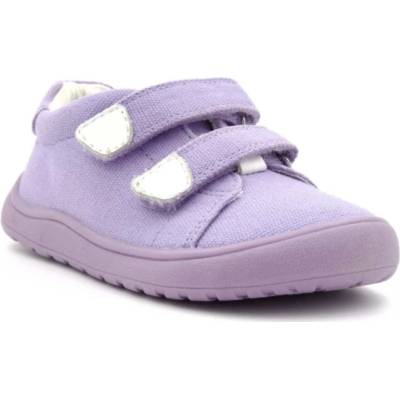 Protetika Koro purple
