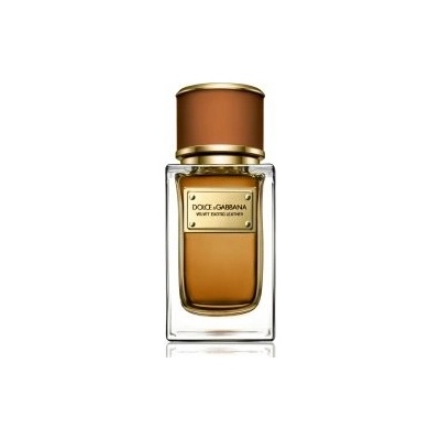 Dolce & Gabbana Velvet Exotic leather parfumovaná voda pánska 100 ml