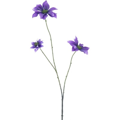 Plamének Clematis Jewl fialový-lilkový 89 cm