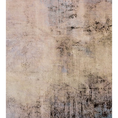 DIMEX MS-3-0350 vliesová fototapeta rozměry 225 x 250 cm