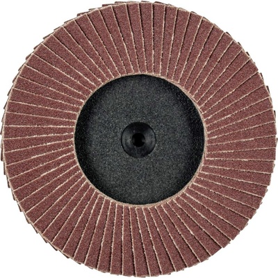 Pferd Vejárovitý brúsny kotúč 75 mm 47202532