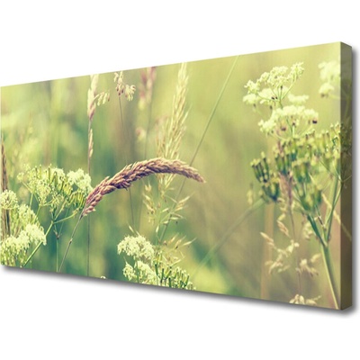 Obraz Canvas Divoké rastliny príroda 100x50 cm
