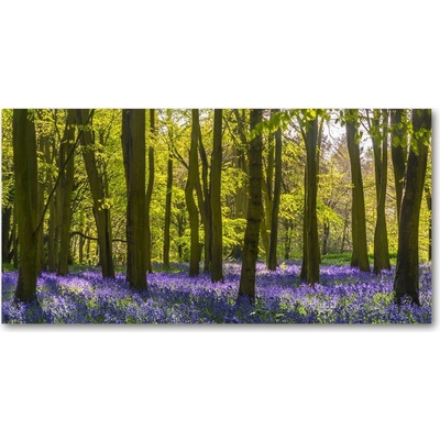 Foto obraz sklenený horizontálny les jar 100x50 cm