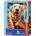 Castorland - Puzzle Euphoric Spectrum - 260 piese