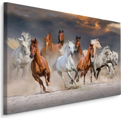 MyBestHome BOX Plátno Koně V Poušti Varianta: 90x60