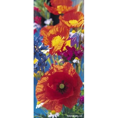 W+G fototapeta 515 vlčí máky rozměr - 86x200 cm