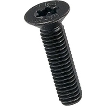 Šroub TORX zápustná hlava ISO 14581 nerez - černěno M3x20 ISO 14581 A2/čer.
