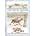 Snow Queen | Hans Christian Andersen, Neil Philip, Sally Holmes