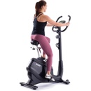 Trinfit Vivo B400