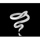 Minet Stříbrný prsten Snake s bílými zirkony JMAN0219SR54