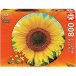 Educa - Puzzle Sunflowers (round) 800 pieces - 850 piese