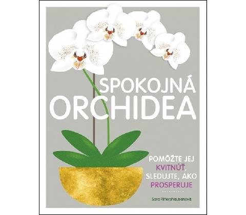 Spokojná orchidea
