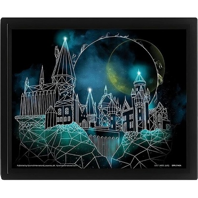 Harry Potter Obraz 3D - Bradavice