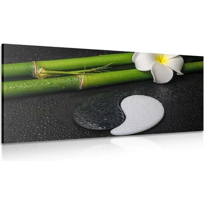 Obraz Spa zátiší se symbolem Jin a Jang - 100x50