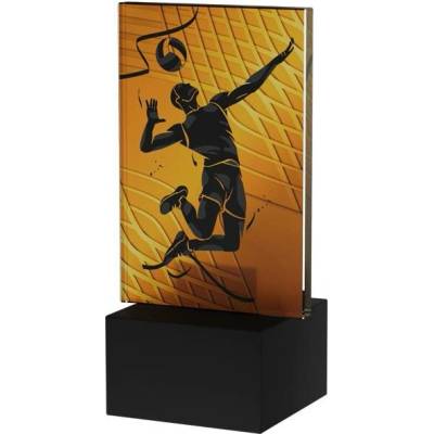 Designová skleněná trofej Volejbal Výška: 12 cm Průměr: 0,6 cm