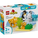 LEGO® DUPLO® - Wild Animal Families: Penguins & Lions (10442)