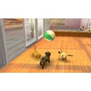 Nintendogs + Cats - French Bulldog and New Friends