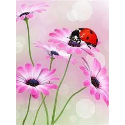 Калинка и цветя 30/40 см