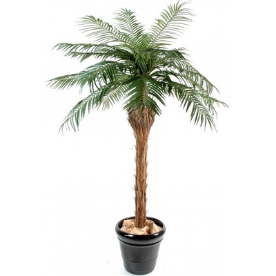 Luxusní umělá palma PHOENIX přírodní kmen, 260cm