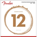Fender 60L