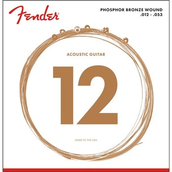 Fender 60L