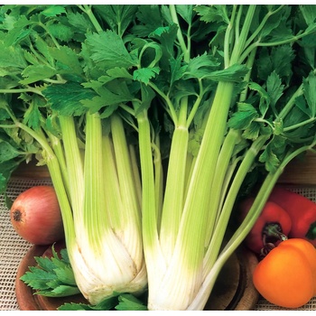 Image 1 of Seklos Целина (дръжковидна) Нугет Nuget