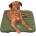Mountain Paws Packable Travel Dog Bed Размер: UNI /