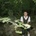 June McDoom - June McDoom LP