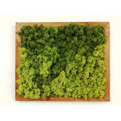 Dvojfarebný machový obraz 50cm x 60cm