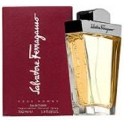 Salvatore Ferragamo Pour Homme toaletní voda pánská 100 ml