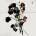 Shinedown - Ei8ht CD