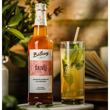Báťkovy Bylinkové Sirupy Šalvěj 0,5 l