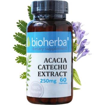 Image 1 of Bioherba Acacia Catechu Extract 250 mg [60 капсули]