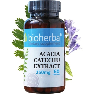 Bioherba Acacia Catechu Extract 250 mg [60 капсули]