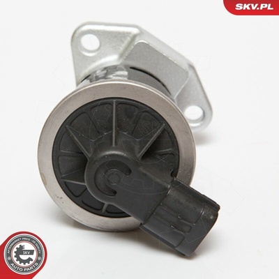 AGR - Ventil ESEN SKV 14SKV070