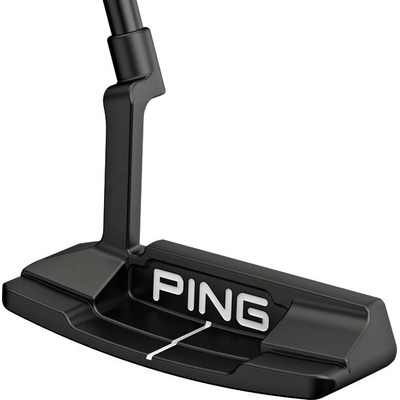 Ping Anser 2D