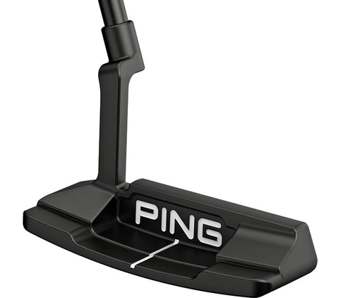 Ping Anser 2D