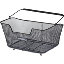 Basil base m