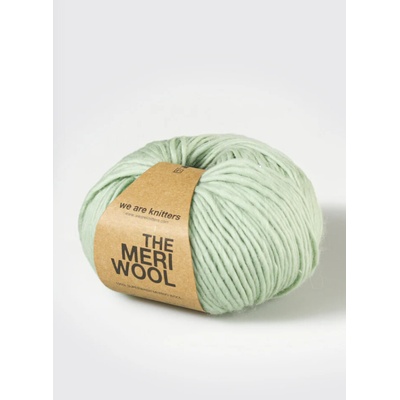 We are knitters Meriwool Farba: Sage Green