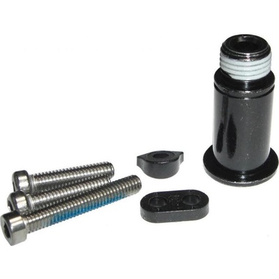 Sram RD GX EAGLE BBOLT & LIMIT SCRE