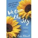 We Own The Sky