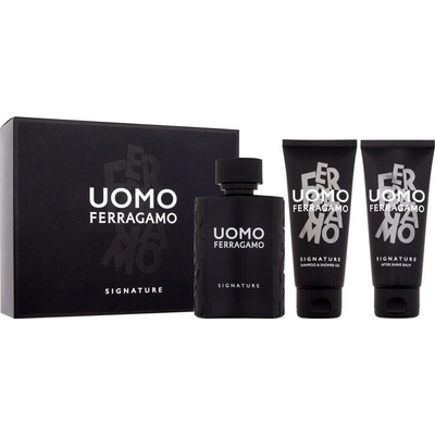 Ferragamo Uomo Signature parfumovaná voda pánska 100 ml