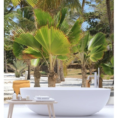 Gario Fototapeta Palmy na tropickej pláži Materiál: Vliesová, rozmery 100 x 100 cm