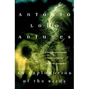 An Explanation of the Birds (ISBN: 9780802134202)