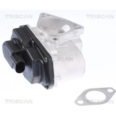 AGR - Ventil TRISCAN 8813 29003